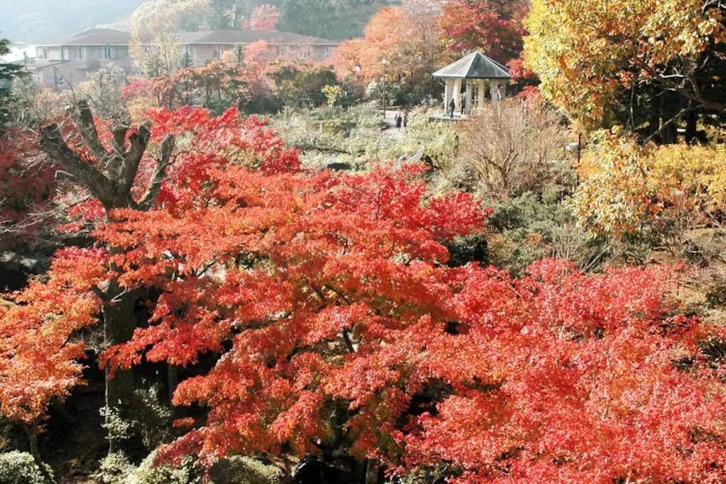 Forest Villa Hakone Buitenkant foto