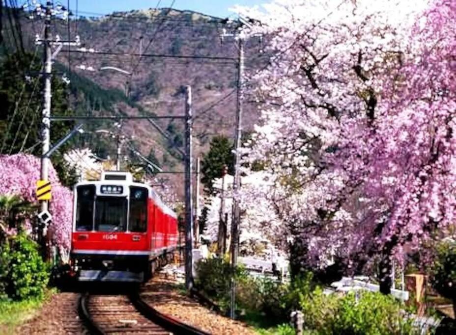 Forest Villa Hakone Buitenkant foto